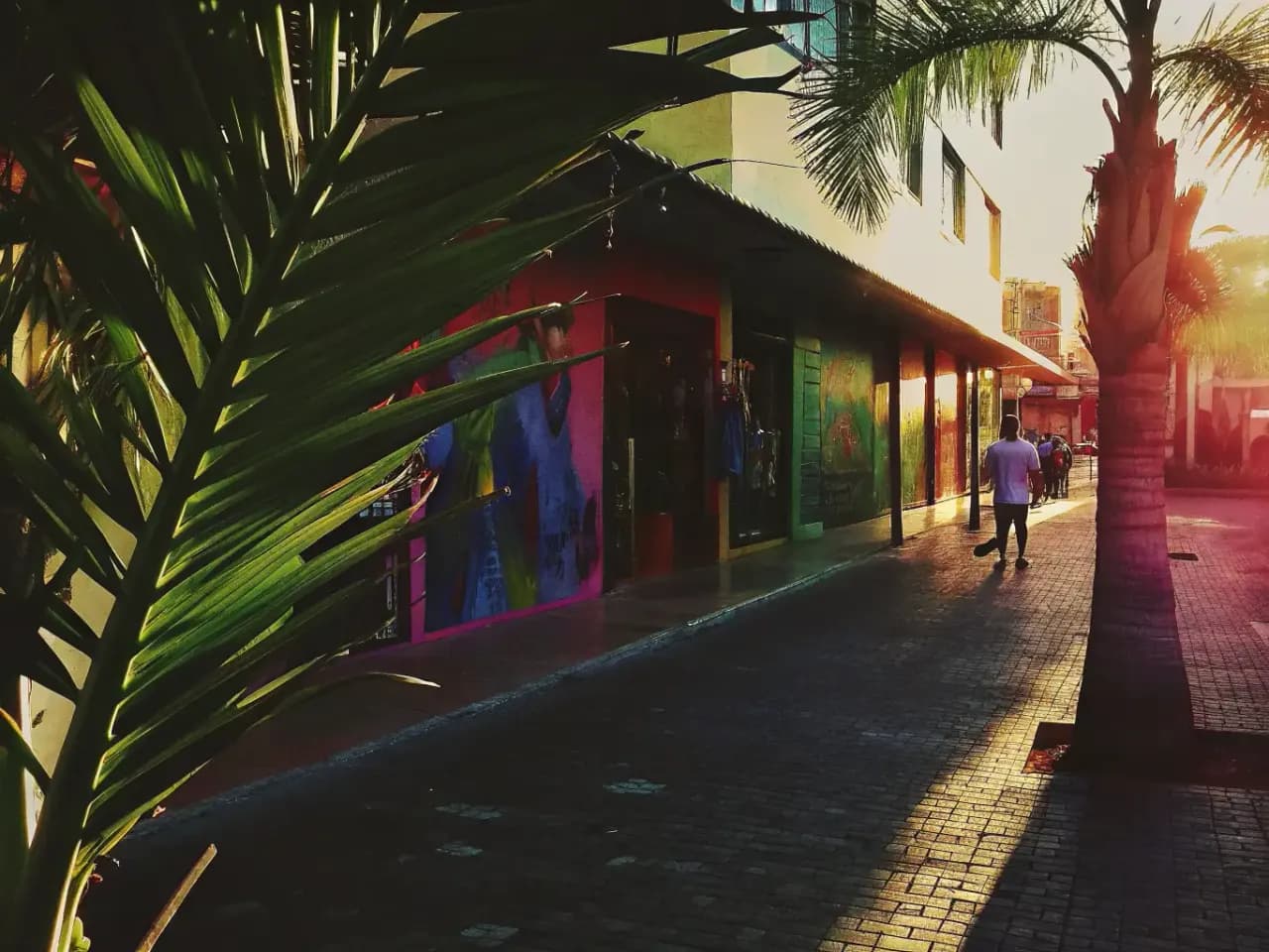 Colorful street scene in Jaco, Costa Rica with palm trees and murals