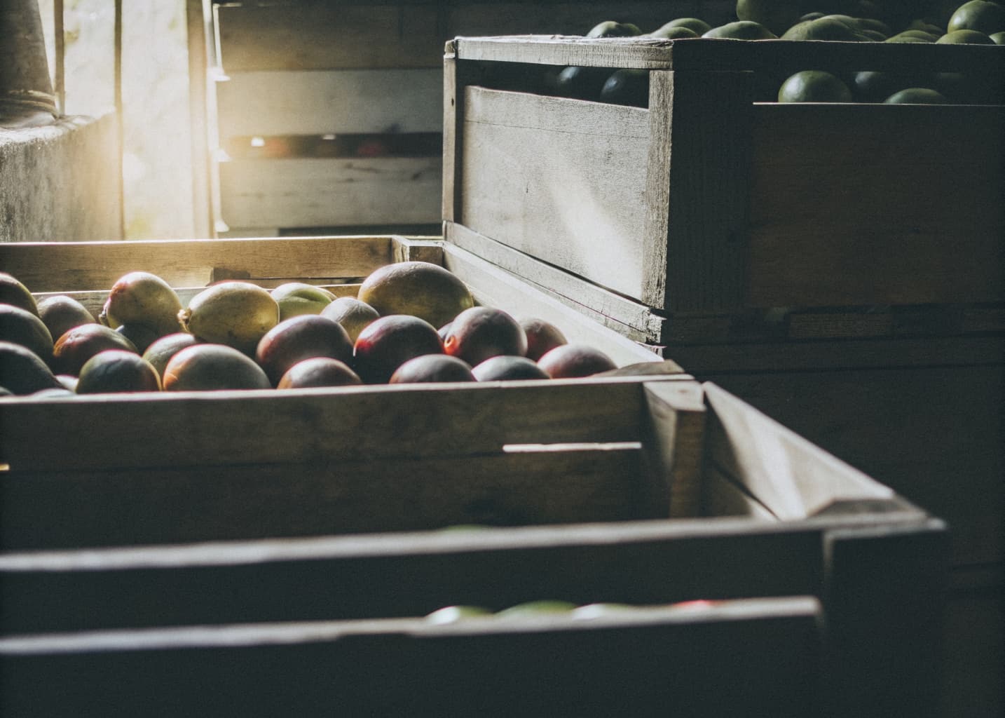 Wooden crates of ripe mangoes and tropical fruit at a Jaco Costa Rica market stall in warm afternoon light